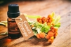 Sweet Orange Essential Oil