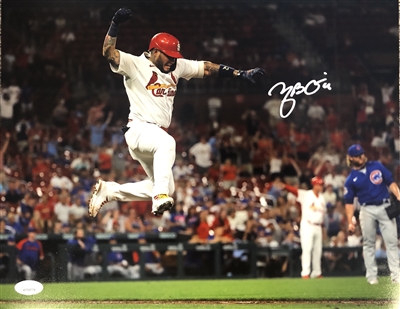 11x14 autograph print of St Louis Cardinals Yadier Molina