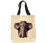 Asian Elephant 50074