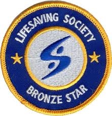 Bronze Star Crest