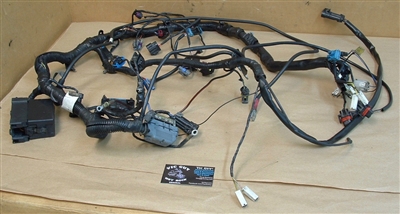 04 Victory Kingpin Main Wiring Harness