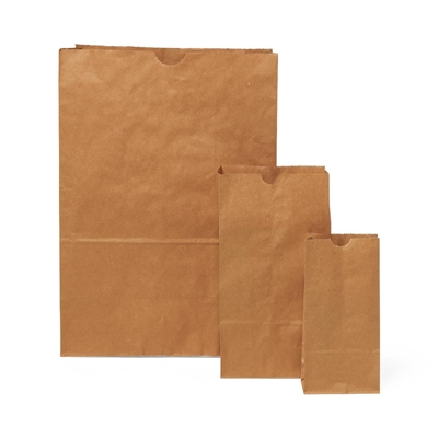 Recycled Brown Paper Bags