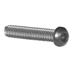 Stainless Steel Rounded Head Screw M6