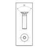 Galvanized Steel Screw Hexagon Socket Countersunk