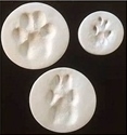 Clay Paw Prints