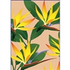 Bird of Paradise Note Cards