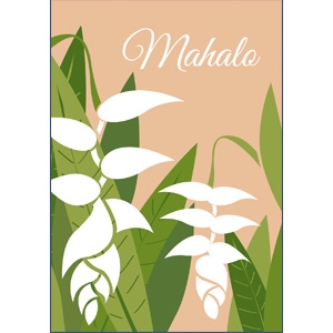 Heliconia White Mahalo Note Cards