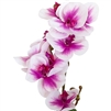 Artificial Real Touch Orchid - Single Spray with Leaves - Pink