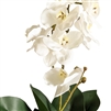 Artificial Real Touch Orchid - Single Spray with Leaves - White