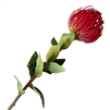 Artificial Pin Cushion Protea - Red