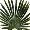 Artificial Real Touch Palm Leaf Medium