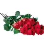 One Dozen Red Roses Boxed