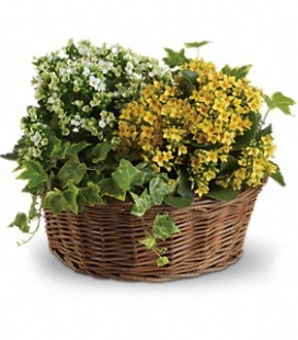 Basket of Joy