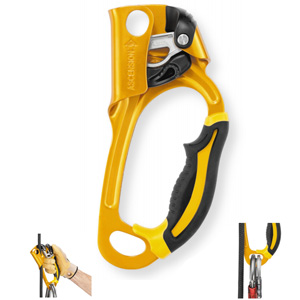 Petzl ASCENSION ascender Right Gold