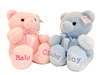 Its a Boy or Girl Large Teddy Bear