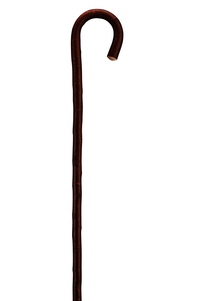 Sour Cherry Tree Walking Stick