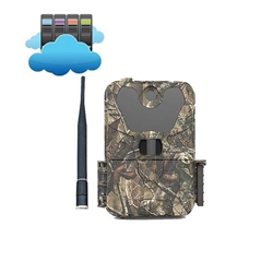 wireless hunting camera