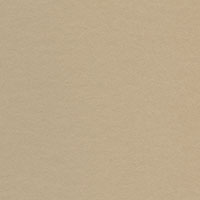 Bainbridge Conservation Basics Colors White Core Camel Matboard