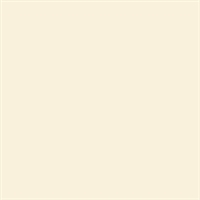 Bainbridge Artcare Alpha Essentials Solid Wheat Matboard