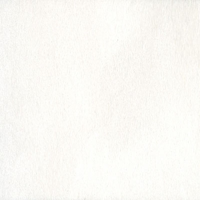 Bainbridge Conservation Basics Fabrics Suedes White Matboard