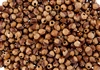 100 Grams - Navajo Ghost Beads Cedar Juniper Berries Seeds with Holes