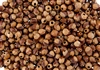 1 POUND - Navajo Ghost Beads Cedar Juniper Berries Seeds with Holes