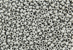 6/0 Czech Seed Beads - Etched Aluminum Silver