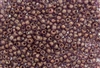 6/0 Czech Seed Beads - Etched Crystal Lilac Vega Luster