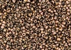 6/0 Czech Seed Beads - Etched Crystal Full Capri Rose/Apollo Gold