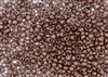 8/0 Czech Seed Beads - Etched Crystal Bronze