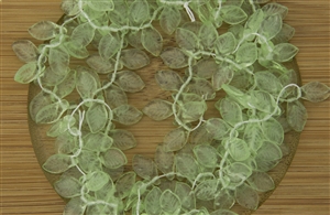 6x11mm Czech Glass Beads Mini Leaves - Peridot Green Transparent