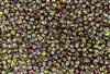 3.4mm Drop Miyuki Japanese Seed Beads - Crystal Magic Apple