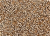 8/0 Miyuki Japanese Seed Beads with Czech Coating - Crystal Capri/Apollo Gold