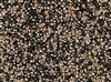 11/0 Miyuki Japanese Seed Beads with Czech Coating - Black Capri/Apollo Gold