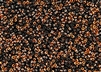 11/0 Miyuki Japanese Seed Beads with Czech Coating - Black Sunset