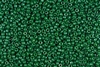 15/0 Miyuki Japanese Seed Beads - Dyed Opaque Bright Forest Green Luster #2538L