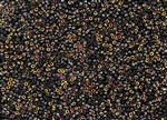 15/0 Miyuki Japanese Seed Beads with Czech Coating - Black Sliperit