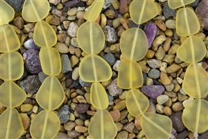 Strand of New 2013 Sea Glass Flat Freeform Beads - Lemon / Yellow