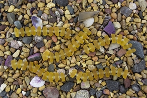 Strand of Sea Glass Button Freeform Beads w/Spacers - Desert Gold