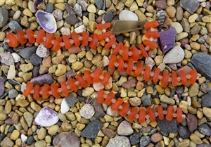 Strand of Sea Glass Button Freeform Beads w/Spacers - Tangerine