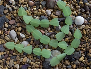 Strand of Sea Glass Flat Freeform Beads - Opaque Spring Green