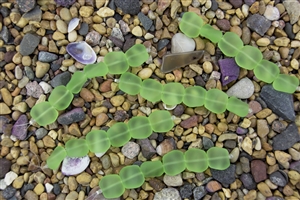 Strand of Sea Glass Flat Square Nugget Beads - Pale Green