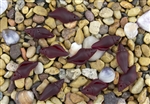 1 Sea Glass Mini Conch Shell Pendant - Ruby Red