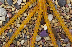 Strand of Sea Glass 10mm Round Beads - Hyacinth Orange
