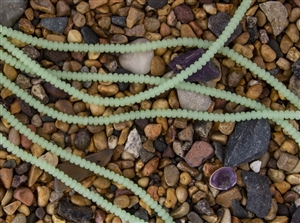 Strand of Sea Glass 4x3mm Rondelle Beads - Opaque Spring Green