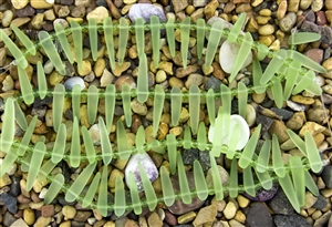 Strand of Sea Glass Tusk / Dagger Beads - Peridot Green