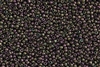 6/0 Toho Japanese Seed Beads - Bronze Plum Iris Higher Metallic #509