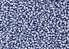 6/0 Toho Japanese Seed Beads - White Lined Light Sapphire #933