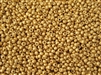 6/0 Toho Japanese Seed Beads - PermaFinish Gold Metallic Matte #PF557F