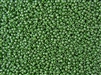 8/0 Toho Japanese Seed Beads - Mint Kelly Green Opaque Luster #130